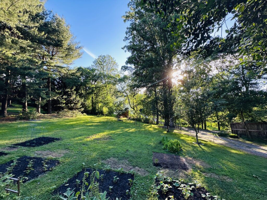 A spacious backyard with tall trees and vibrant green grass. The yard has some plots for gardening.