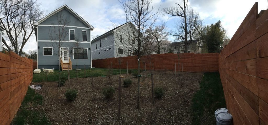 "Before" image of a backyard that looks drab