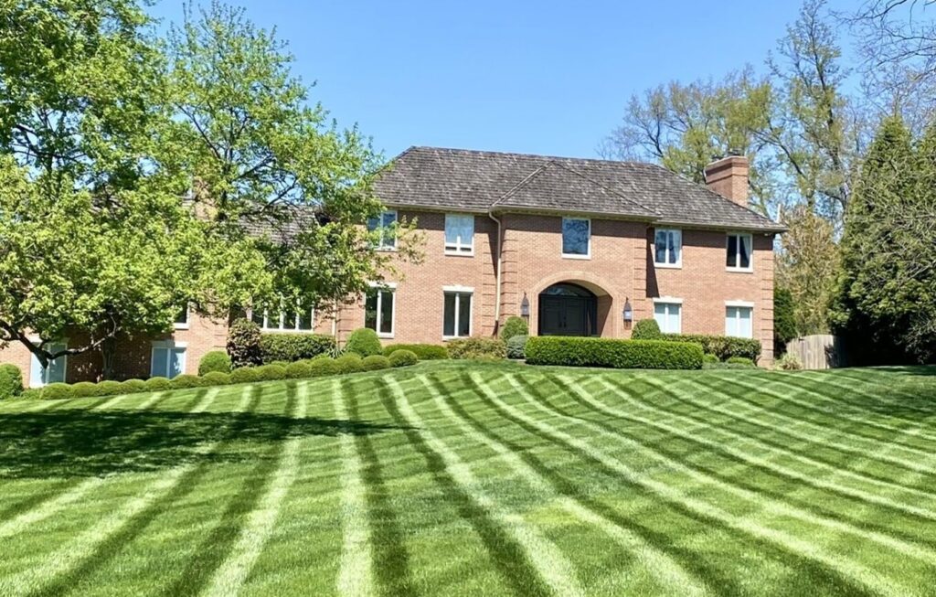 Large fresh cut lawn by Wheat's landscapers