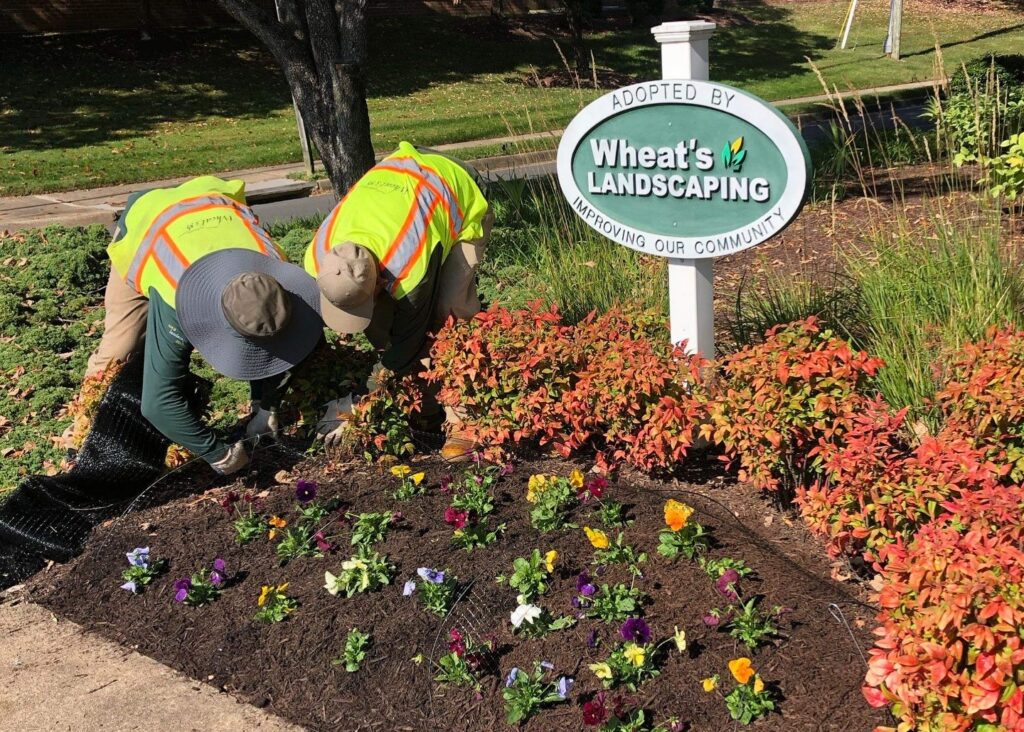 Wheat's landscapers working in flower bed