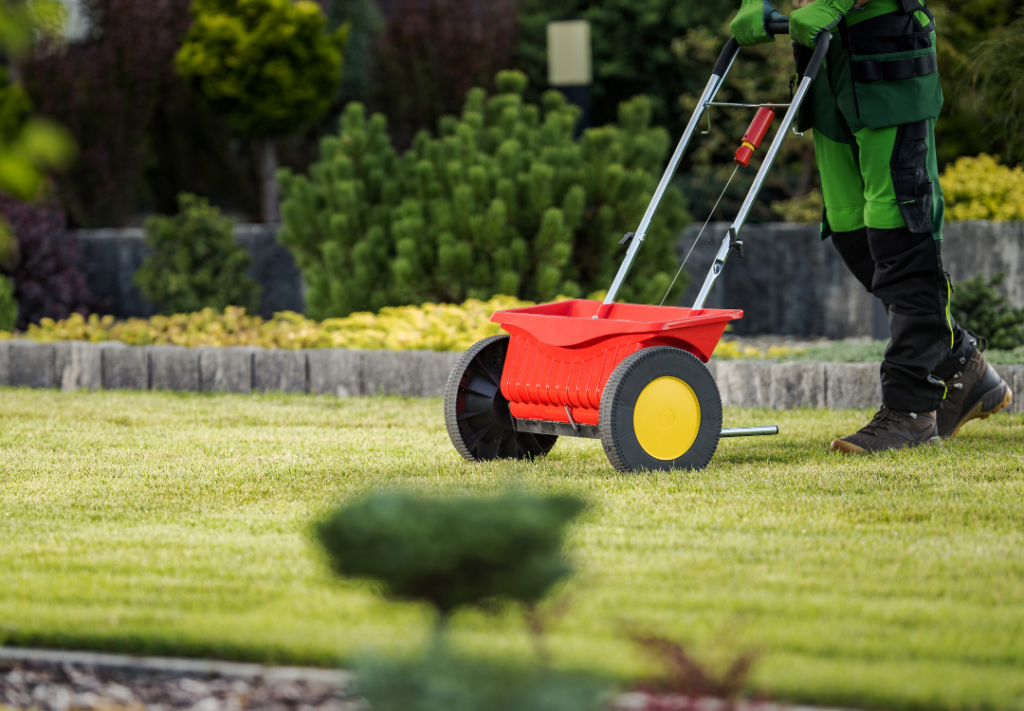 landscaper overseeding lawn